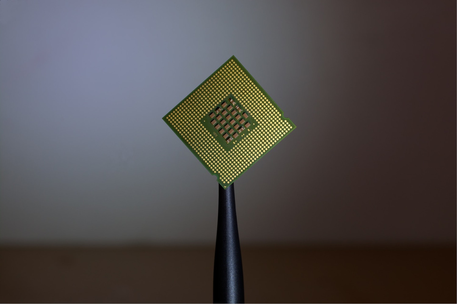 microchip sottocutaneo