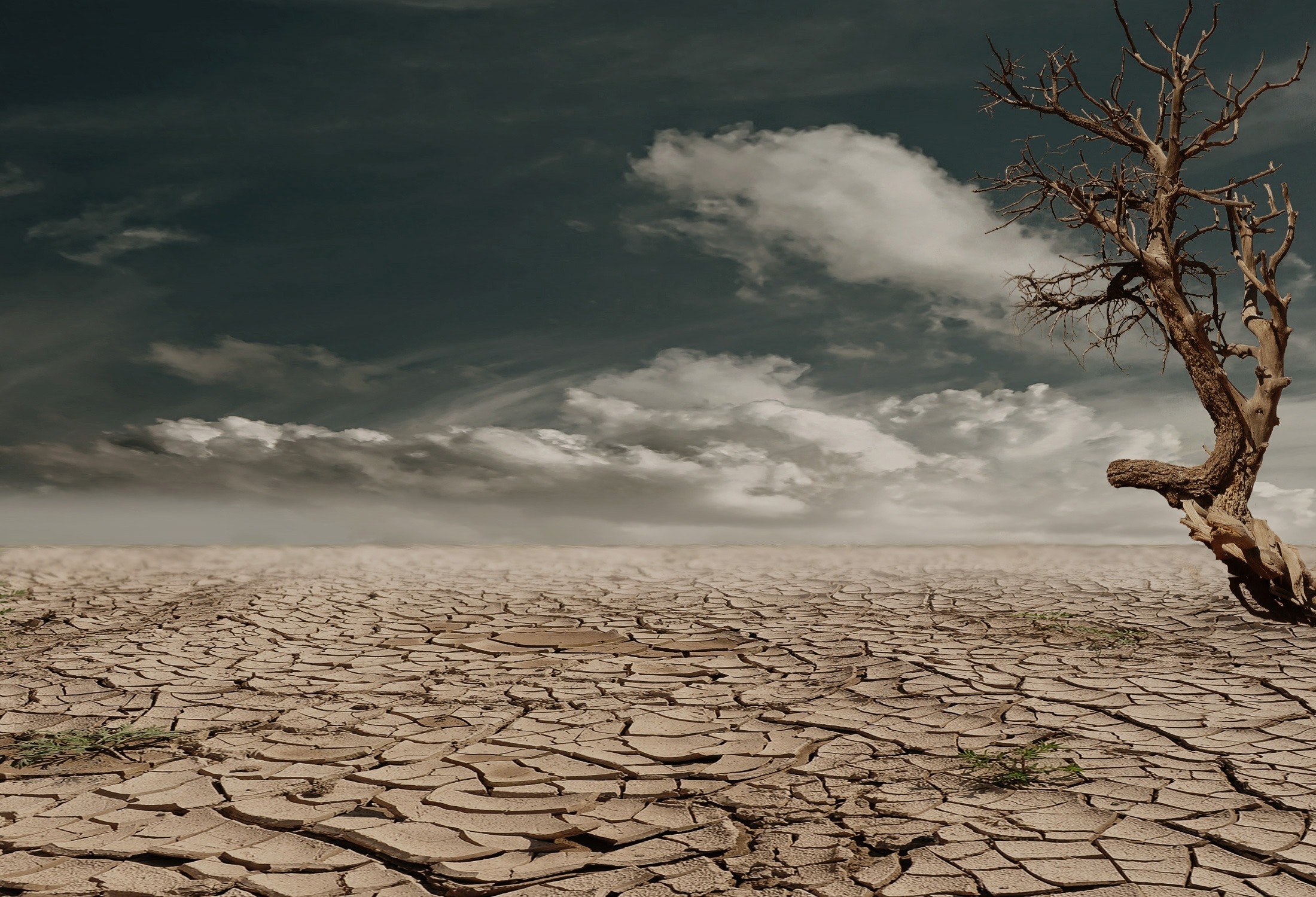 cambiamento climatico
