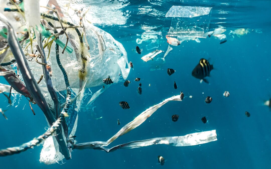 Contro l’inquinamento: è urgente ridurre il consumo della plastica