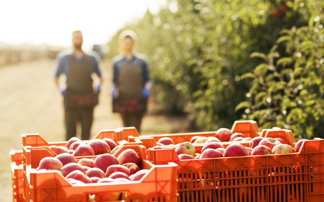 Una nuova agricoltura per un mondo più giusto e sostenibile